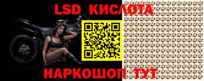 apvp Кузнецк