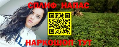 apvp Кузнецк