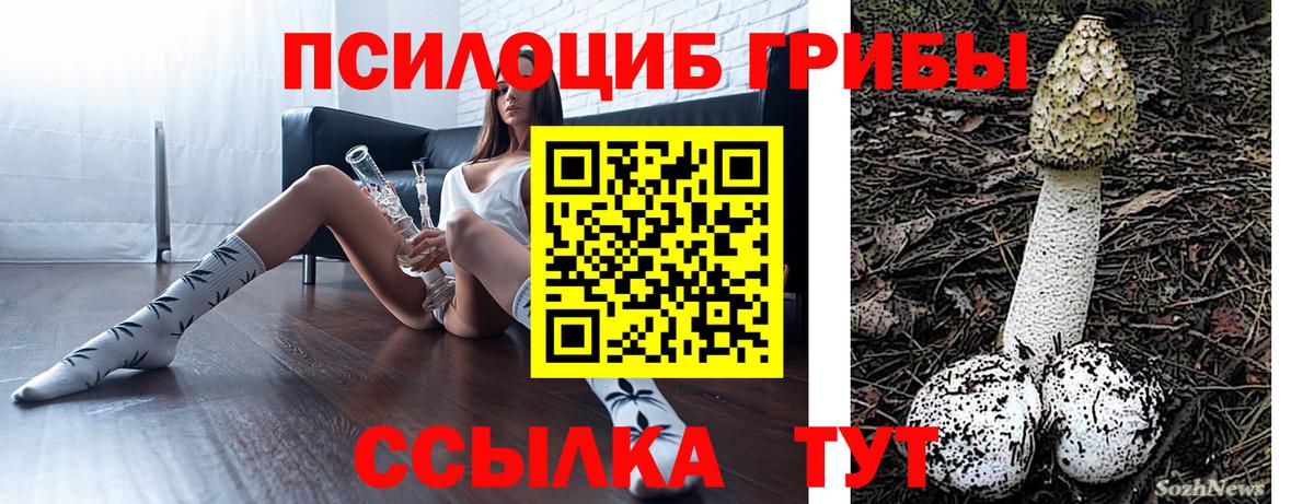 Джанкой  купить наркотики цена  Вход с VPN  Псилоцибиновые грибы Cubensis 
